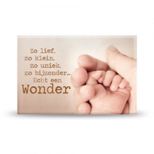 Magneet Een wonder Magneet Een wonder