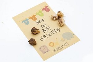 Hoera een baby, gefeliciteerd (geluksklavers) Hoera een baby, gefeliciteerd (geluksklavers)