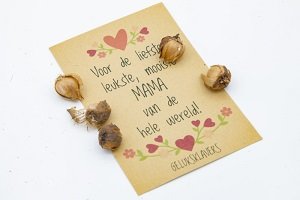 Voor de liefste, leukste, mooiste mama van de hele wereld (geluksklavers) Voor de liefste, leukste, mooiste mama van de hele wereld (geluksklavers)