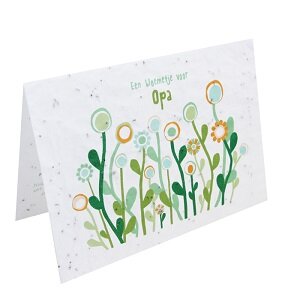 Bloeikaart Een bloemetje voor opa Bloeikaart Een bloemetje voor opa