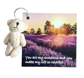 Kaart Sunshine met knuffel beertje Kaart Sunshine met knuffel beertje