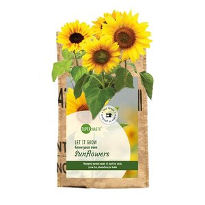 Hangtuintje zonnebloemen Hangtuintje zonnebloemen