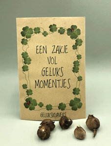 Een zakje vol geluks momentjes (geluksklavers) Een zakje vol geluks momentjes (geluksklavers)