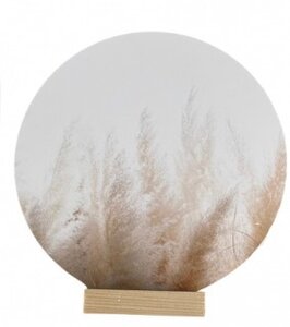 Muurcirkel Pampasgras