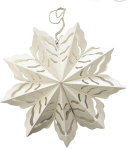 Kerstbloem - wit  Kerstbloem - wit