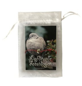 Kaartje met armband Feestdagen