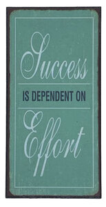 Magneet Succes is dependent on Effort Magneet Succes is dependent on Effort