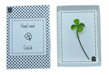 Heel veel geluk in een doosje Heel veel geluk in een doosje