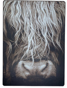 Bordje Schotse Hooglander Bordje Schotse Hooglander