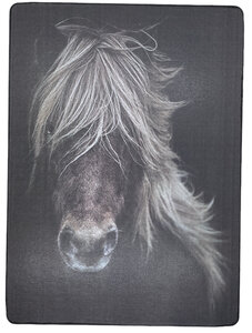 Bordje Paard Bordje Paard