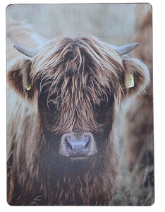 Bordje Schotse Hooglander Bordje Schotse Hooglander