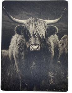 Bordje Schotse Hooglander Bordje Schotse Hooglander