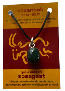 Steenbok Sterrenbeeld ketting  Steenbok Sterrenbeeld ketting