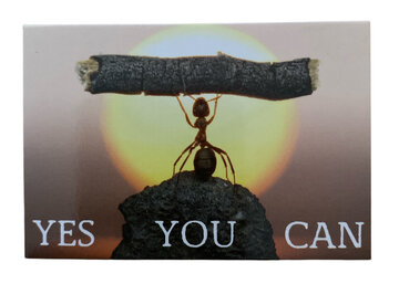 Magneet Yes you can Magneet Yes you can
