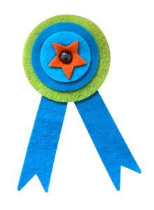 Rozet Turquoise - Groen - Oranje