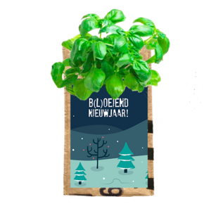 Hangtuintje Munt - B(l)oeiend Nieuw Jaar! Hangtuintje Munt - B(l)oeiend Nieuw Jaar!