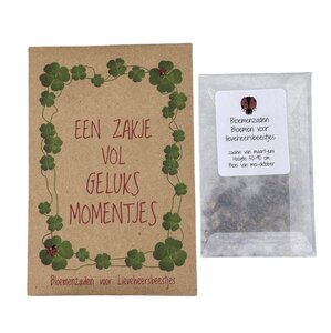 Een zakje vol geluks momentjes (lieveheersbeestjes)