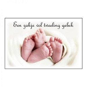 Een zakje vol tweeling geluk geurzakje Een zakje vol tweeling geluk geurzakje