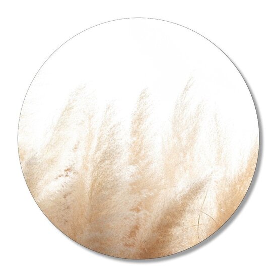 Muurcirkel Pampasgras