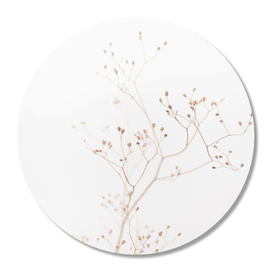 Muurcirkel Gedroogde tak