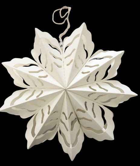 Kerstbloem - wit  Kerstbloem - wit