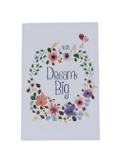 Dream Big Dromenvanger