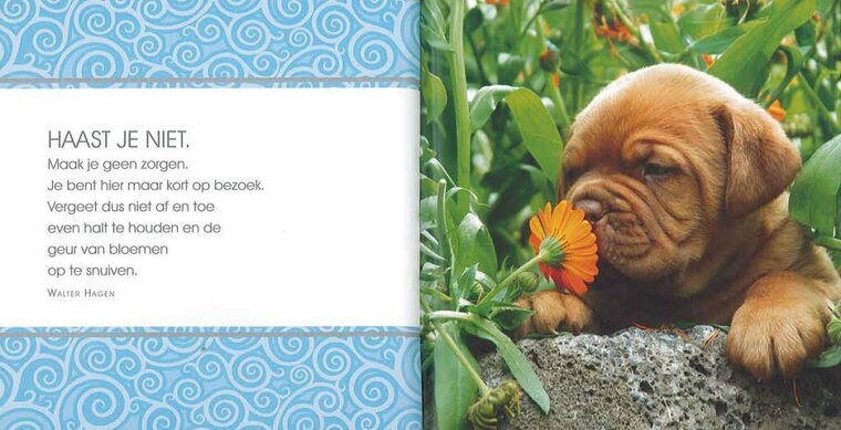 Boekje Pluk de Dag Boekje Pluk de Dag