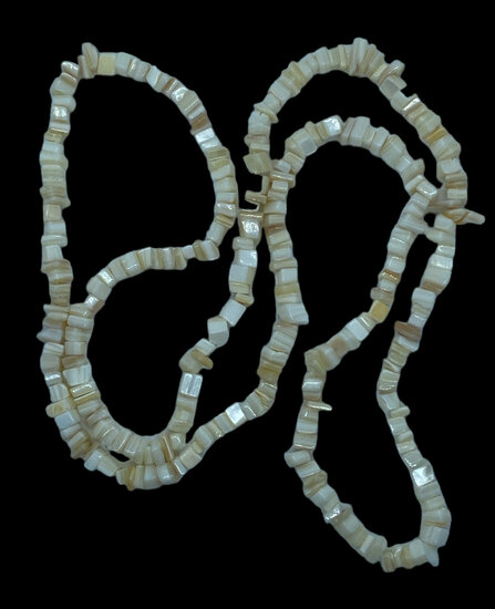 Ketting Schelp Ketting Schelp