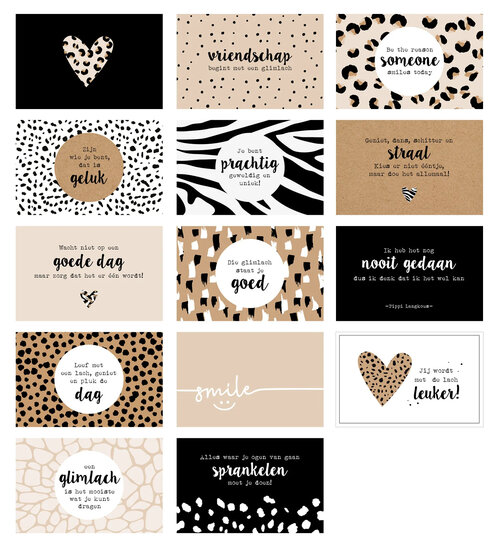 Doosje met een glimlach - Panter