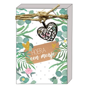 Hoera een meisje (zeepjes) Hoera een meisje (zeepjes)